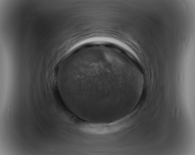 X0000086080029200703301138