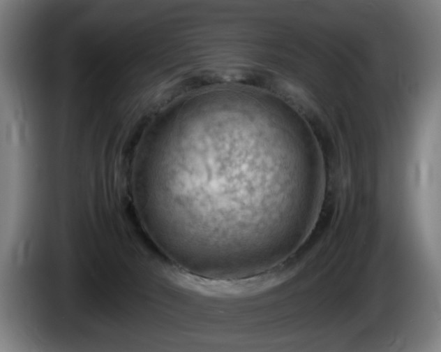 X0000086080030200703301138