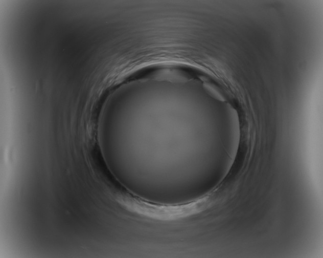 X0000086080031200703301138