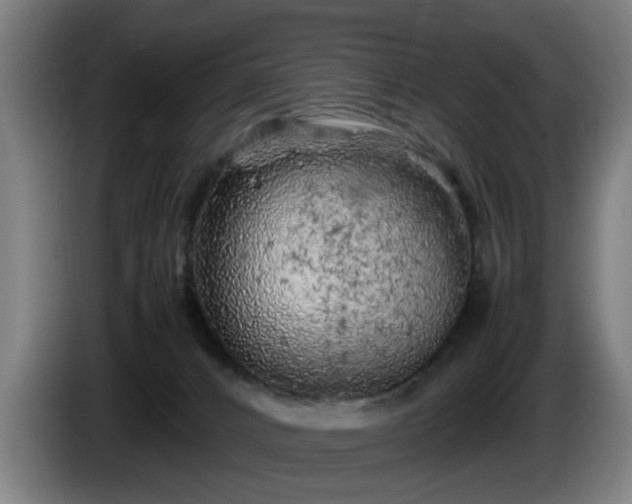 X0000086080032200703301138