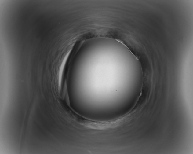 X0000086080033200703301138