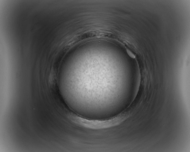 X0000086080034200703301138