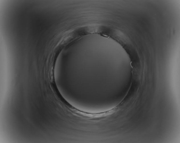 X0000086080035200703301138