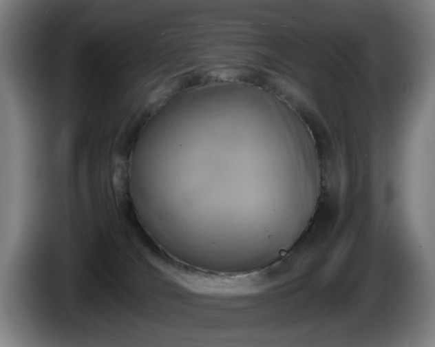 X0000086080036200703301138