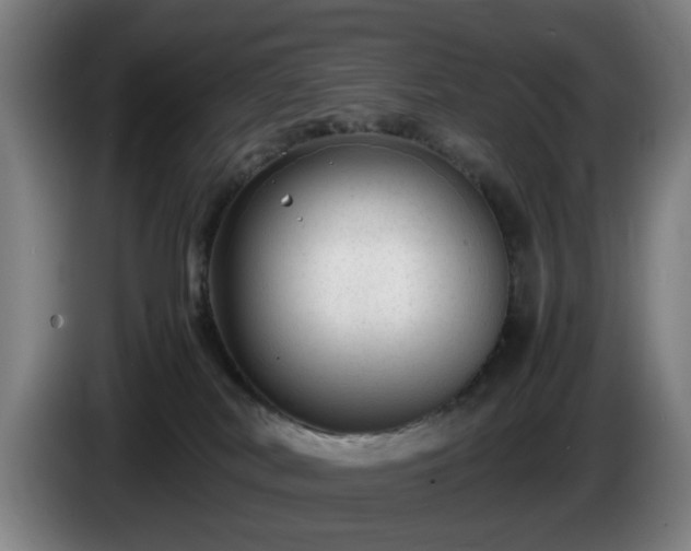 X0000086080038200703301138