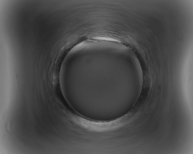 X0000086080039200703301138