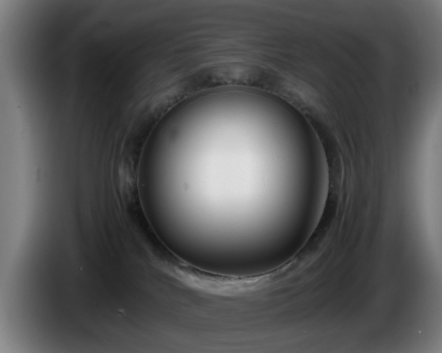 X0000086080040200703301138