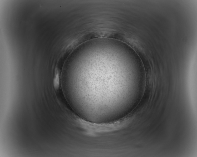 X0000086080042200703301138