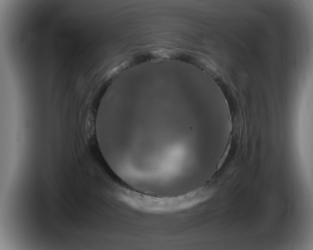 X0000086080043200703301138