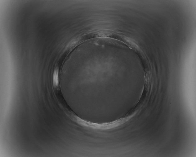 X0000086080046200703301138