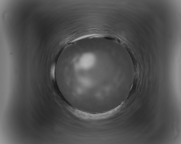 X0000086080047200703301138