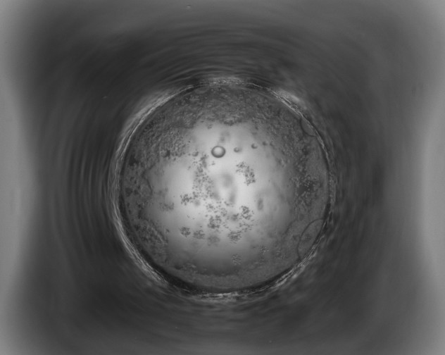 X0000086080049200703301137