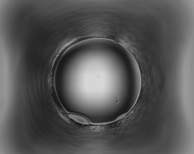 X0000086080050200703301137