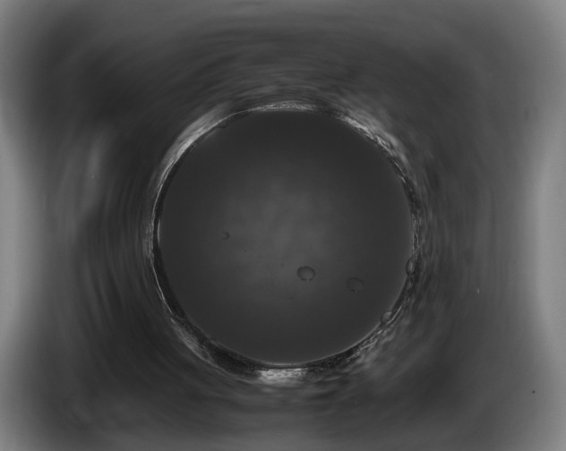 X0000086080051200703301137