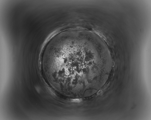 X0000086080053200703301138