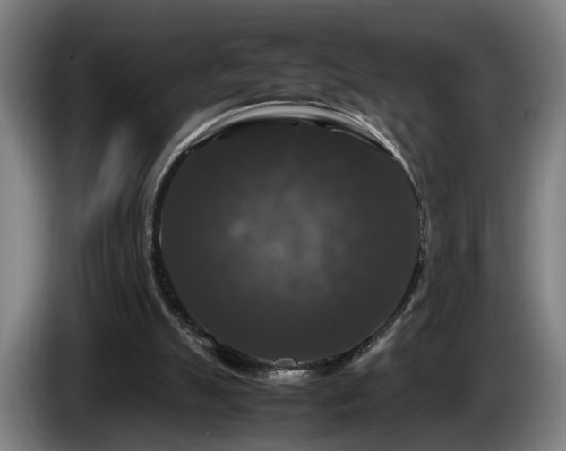 X0000086080055200703301138