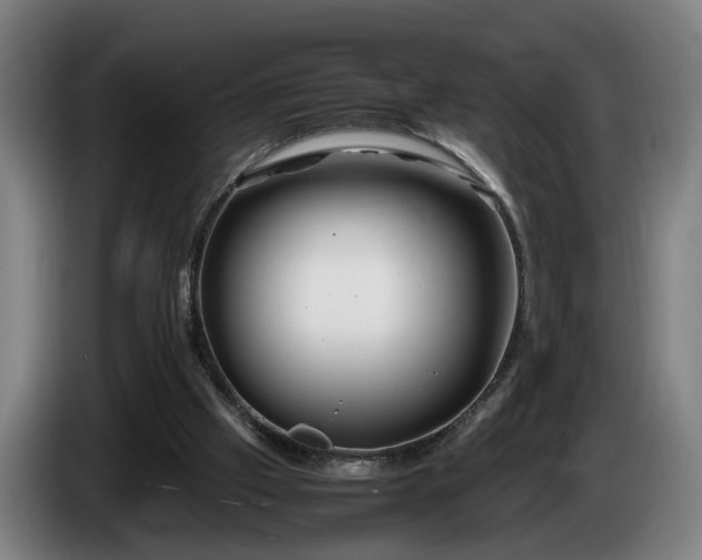 X0000086080057200703301138