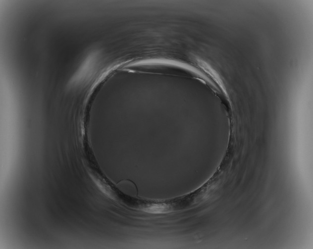 X0000086080059200703301138