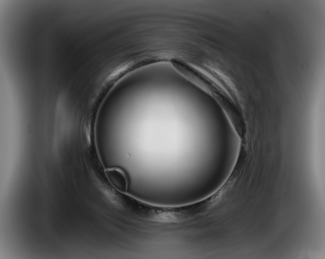 X0000086080062200703301138