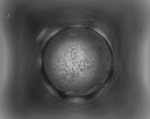 X0000086080063200703301138