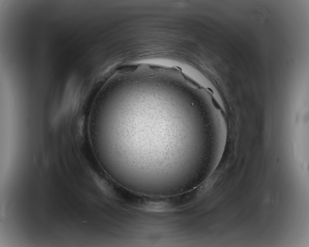 X0000086080066200703301138