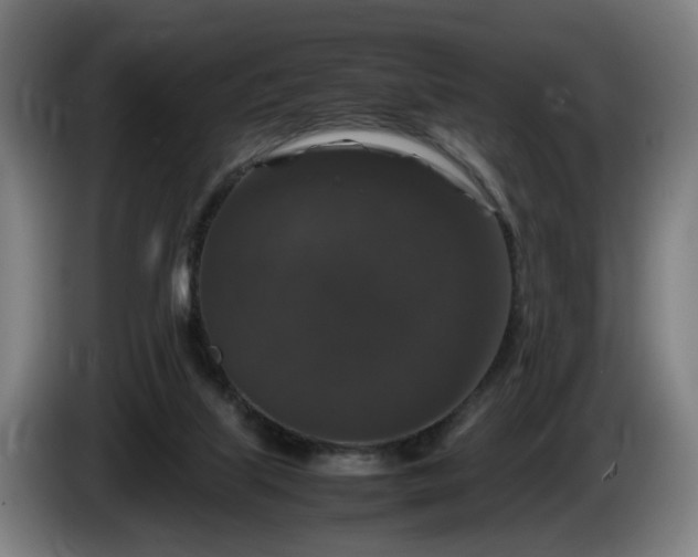 X0000086080067200703301138