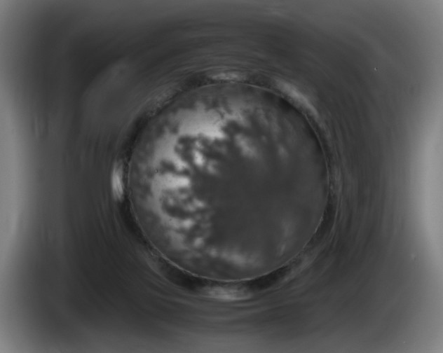 X0000086080069200703301138