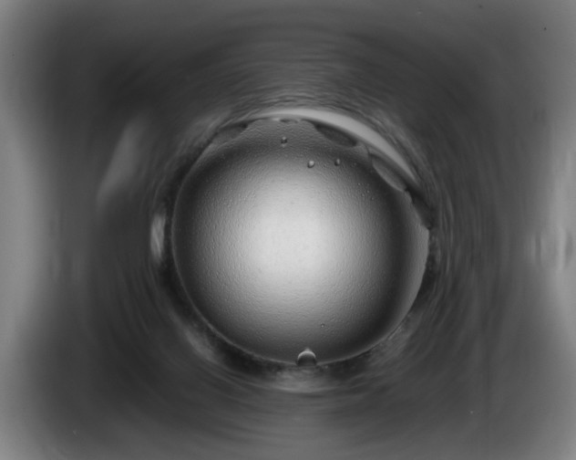 X0000086080070200703301138