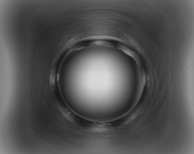 X0000086080072200703301138