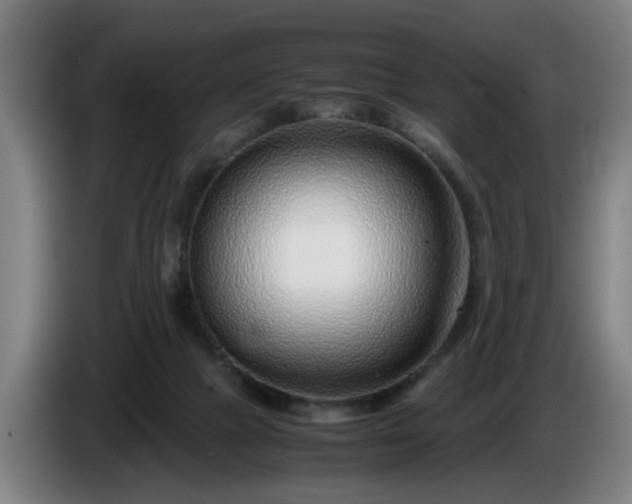 X0000086080073200703301138