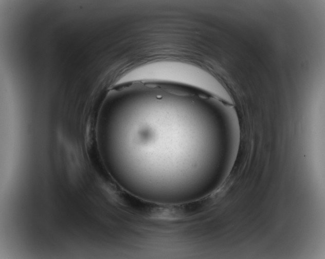 X0000086080074200703301138