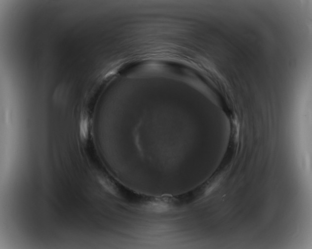 X0000086080076200703301138