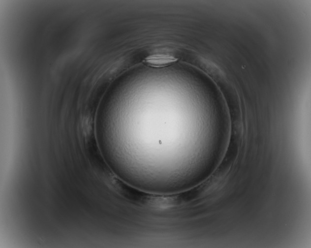 X0000086080081200703301138