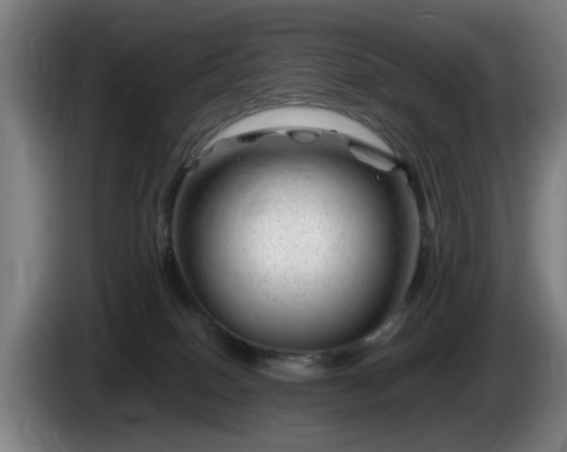 X0000086080086200703301138