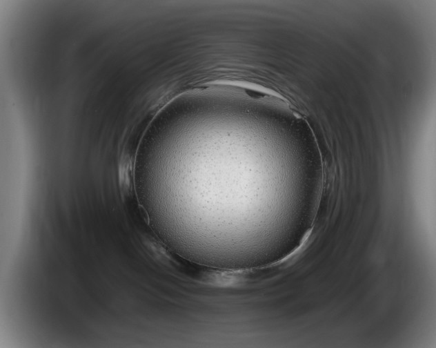 X0000086080094200703301138