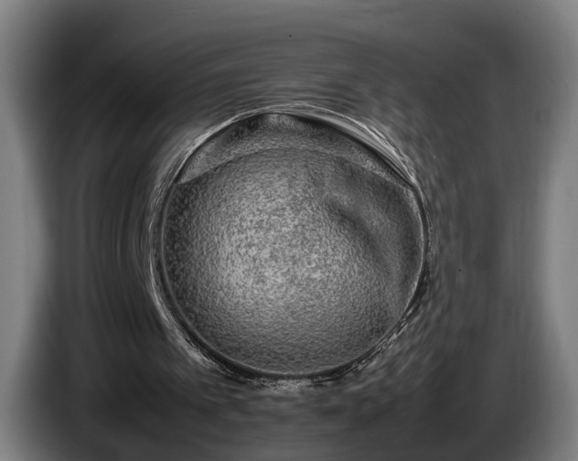 X0000086080097200703301137