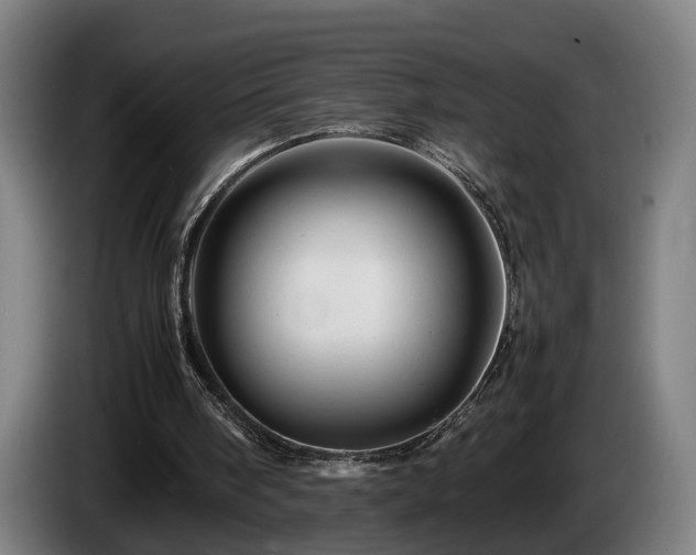 X0000086080098200703301137