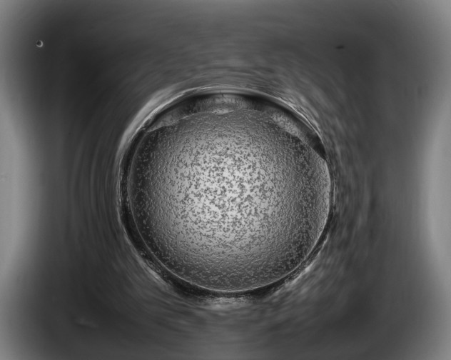 X0000086080101200703301137