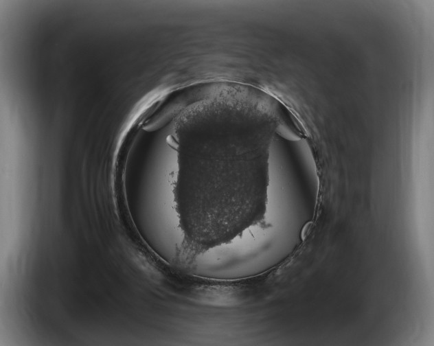 X0000086080104200703301137