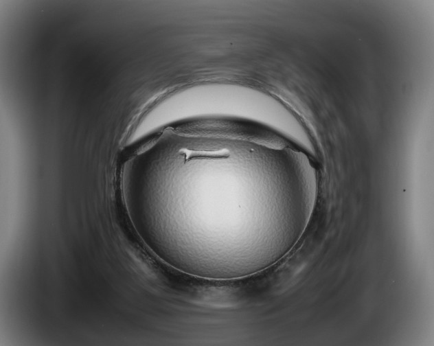 X0000086080107200703301137