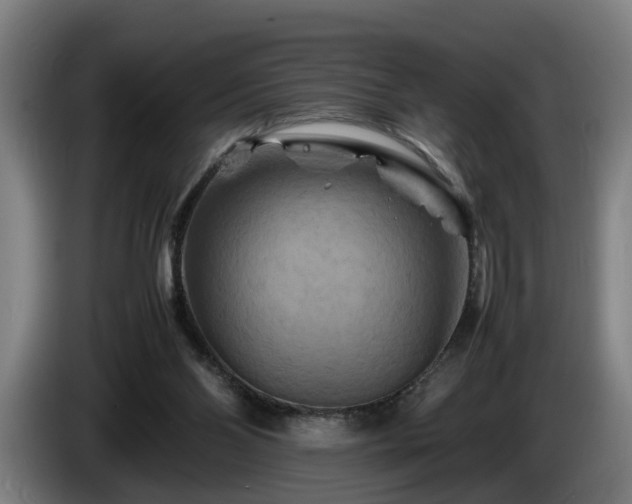 X0000086080110200703301137