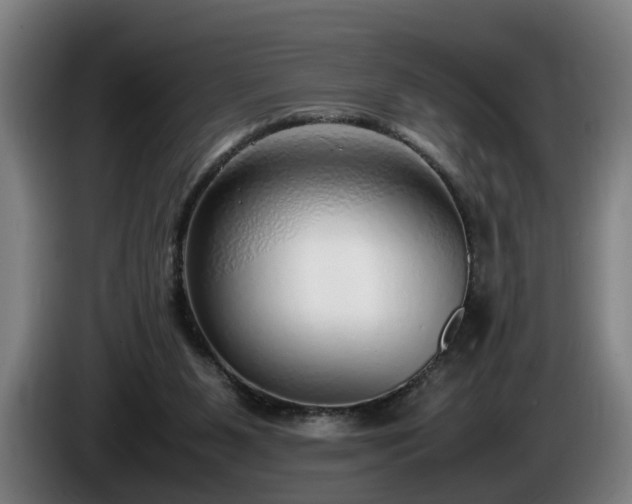 X0000086080111200703301137