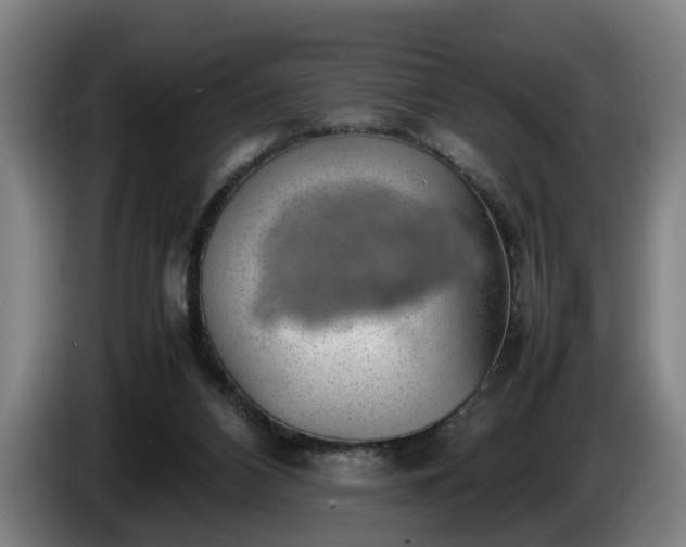 X0000086080112200703301137