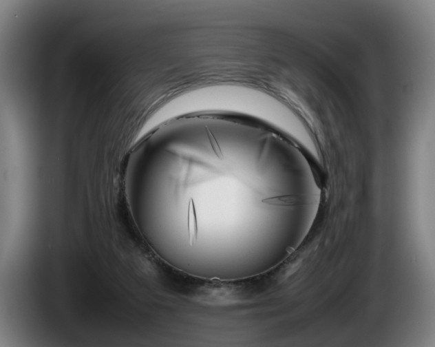 X0000086080113200703301137