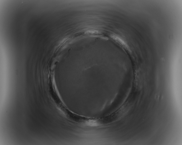 X0000086080114200703301137