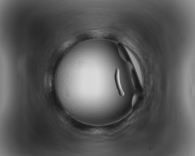 X0000086080115200703301137