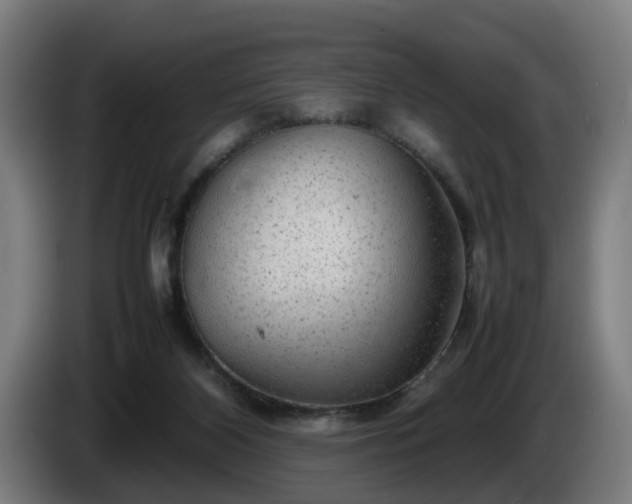 X0000086080116200703301137