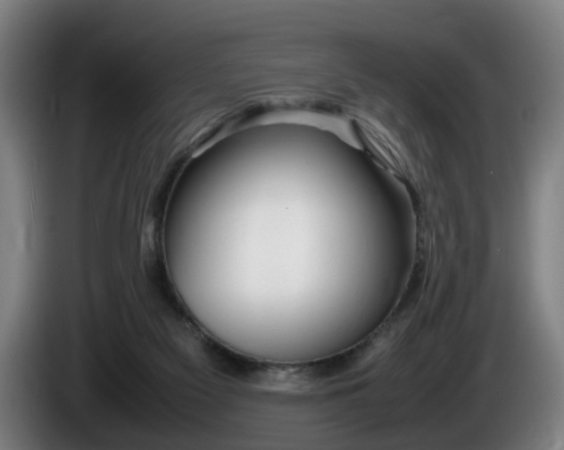 X0000086080117200703301137