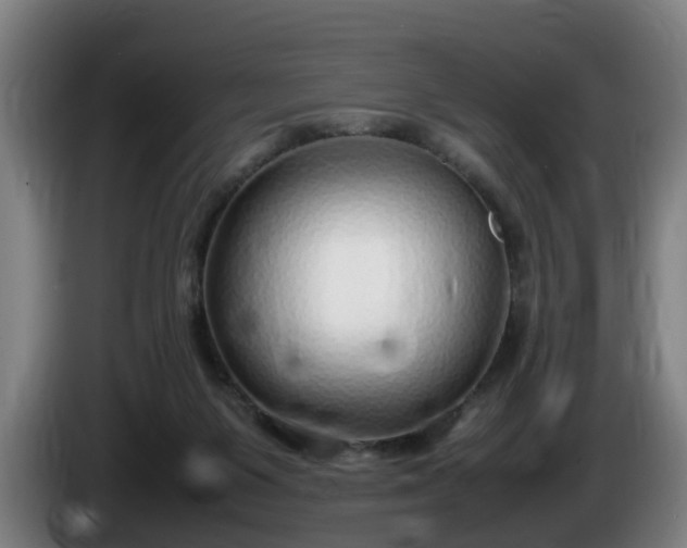 X0000086080119200703301137