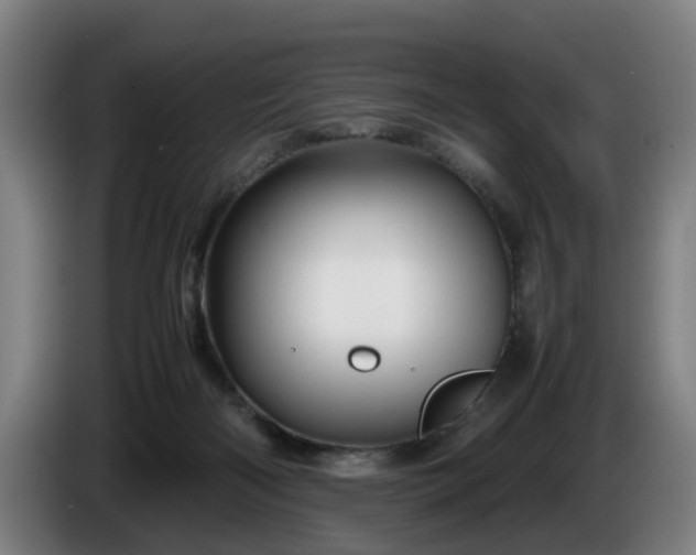 X0000086080122200703301137